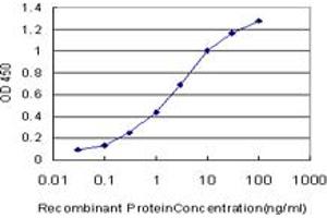 Detection limit for recombinant GST tagged MRC1 is approximately 0. (Macrophage Mannose Receptor 1 antibody  (AA 22-130))