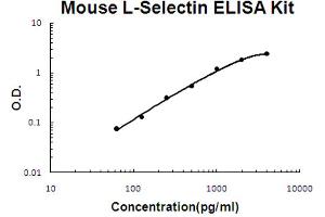 Mouse L-Selectin Accusignal ELISA Kit Mouse L-Selectin AccuSignal ELISA Kit standard curve. (L-Selectin ELISA Kit)