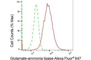 Flow cytometric analysis of Glutamate-ammonia ligase expression in HeLa cells using Glutamate-ammonia ligase antibody (ABIN7798741), 1:2,000). (Recombinant GLUL antibody)