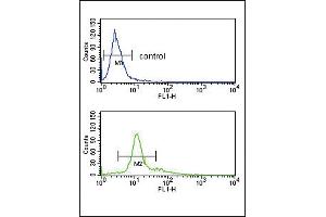 PCSK2 Antibody (Center) (ABIN391909 and ABIN2841723) flow cytometry analysis of K562 cells (bottom histogram) compared to a negative control cell (top histogram). (PCSK2 antibody  (AA 318-346))