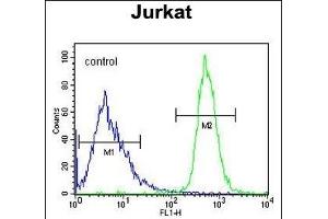 FFAR3 Antibody (C-term) (ABIN651415 and ABIN2840225) flow cytometric analysis of Jurkat cells (right histogram) compared to a negative control cell (left histogram). (FFAR3 antibody  (C-Term))