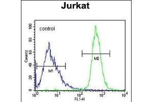 FFAR3 Antibody (C-term) (ABIN651415 and ABIN2840225) flow cytometric analysis of Jurkat cells (right histogram) compared to a negative control cell (left histogram). (FFAR3 antibody  (C-Term))
