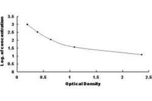 Typical standard curve (Endothelin 2 ELISA Kit)