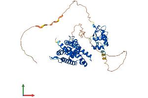 AlphaFold protein structure predicition of Human Recombinant NR6A1 Protein, UniprotID Q15406