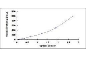 Synuclein, alpha (SNCA) ELISA Kit