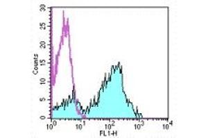 Image no. 1 for anti-CD5 (CD5) antibody (FITC) (ABIN473482) (CD5 antibody  (FITC))