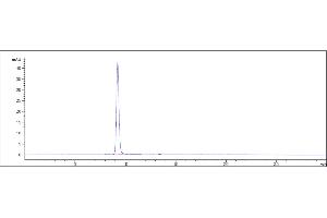 Anti- Human FGFR2( bemarituzumab) is 100 % , determined by SEC-HPLC. (Recombinant FGFR2 (Bemarituzumab Biosimilar) antibody)
