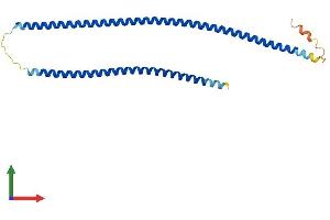 AlphaFold protein structure predicition of Human Recombinant KRT87P Protein, UniprotID A6NCN2 (KRT87P (AA 1-255) protein (His tag))