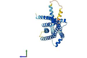 AlphaFold protein structure predicition of Mouse Recombinant Tas2r102 Protein, UniprotID Q7M717 (TAS2R102 Protein (AA 1-329) (His tag))