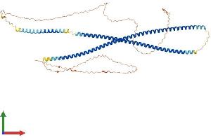 Protein Structure (PS) image for Keratin 77 (KRT77) (AA 1-578) protein (His tag) (ABIN7548678)