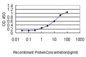 Detection limit for recombinant GST tagged SNX25 is approximately 0. (SNX25 antibody  (AA 1-483))