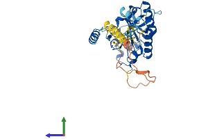 AlphaFold protein structure predicition of Human Recombinant PLCXD2 Protein, UniprotID Q0VAA5 (PLCXD2 Protein (AA 1-305) (His tag))