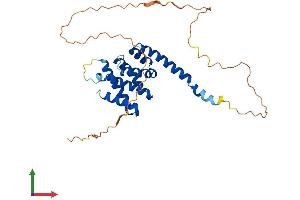 AlphaFold protein structure predicition of Human Recombinant KATNBL1 Protein, UniprotID Q9H079 (KATNBL1 Protein (AA 1-304) (His tag))