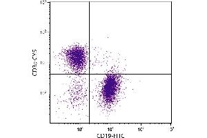 BALB/c mouse splenocytes were stained with Hamster Anti-Mouse CD3ε-CY5. (CD3 epsilon antibody  (Cy5))