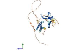 AlphaFold protein structure predicition of Mouse Recombinant Taf7l Protein, UniprotID Q9D3R9