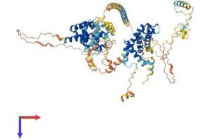 LAS1L Protein (AA 1-776) (His tag)