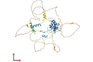 AlphaFold protein structure predicition of Mouse Recombinant Shb Protein, UniprotID Q6PD21 (SHB Protein (AA 1-503) (His tag))