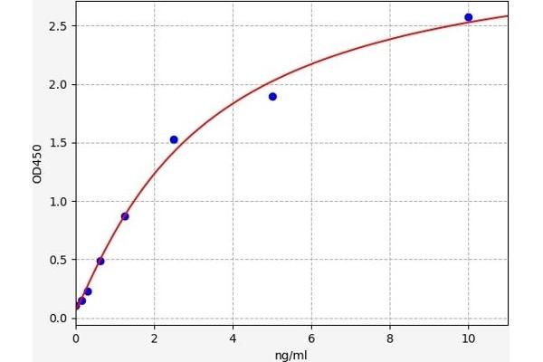 CD131 ELISA Kit