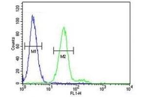 Flow Cytometry (FACS) image for anti-Mast/stem Cell Growth Factor Receptor (KIT) (AA 680-711) antibody (ABIN3031702)