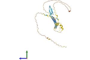 Protein Structure (PS) image for WW Domain Binding Protein 1 (WBP1) (AA 1-269) protein (His tag) (ABIN7545150)