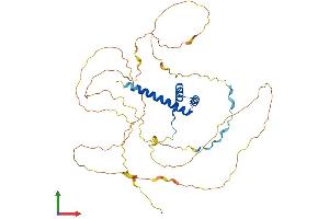 AlphaFold protein structure predicition of Human Recombinant HOXA10 Protein, UniprotID P31260 (HOXA10 Protein (AA 1-410) (His tag))