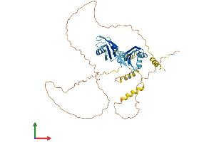 Protein Structure (PS) image for RNA Binding Motif Protein 23 (RBM23) (AA 1-439) protein (His tag) (ABIN7551256)