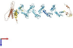 AlphaFold protein structure predicition of Human Recombinant ZNF225 Protein, UniprotID Q9UK10