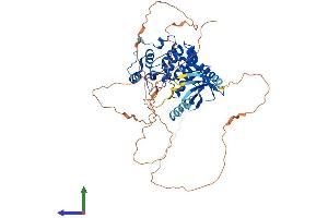 AlphaFold protein structure predicition of Mouse Recombinant Cdkl2 Protein, UniprotID Q9QUK0