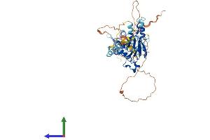 AlphaFold protein structure predicition of Mouse Recombinant Irf5 Protein, UniprotID P56477 (IRF5 Protein (AA 1-497) (His tag))
