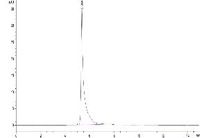The purity of Human CDH3 is greater than 95 % as determined by SEC-HPLC. (P-Cadherin Protein (CDH3) (AA 108-654) (His tag))