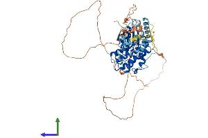 Protein Structure (PS) image for Mitogen-Activated Protein Kinase 15 (MAPK15) (AA 1-544) protein (His tag) (ABIN7549416)