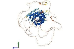 AlphaFold protein structure predicition of Human Recombinant CTNND1 Protein, UniprotID O60716 (CTNND1 Protein (AA 1-968) (His tag))