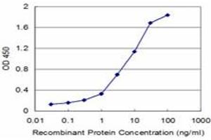 Detection limit for recombinant GST tagged UMPS is approximately 0. (UMPS antibody  (AA 381-479))