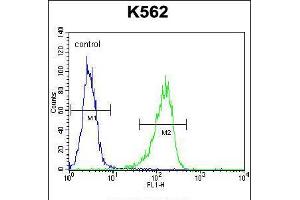 Flow cytometric analysis of K562 cells (right histogram) compared to a negative control cell (left histogram). (Metabotropic Glutamate Receptor 6 antibody  (C-Term))