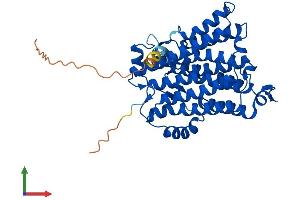 Protein Structure (PS) image for Choline/ethanolamine phosphotransferase 1 (CEPT1) (AA 1-416) protein (His tag) (ABIN7553354)