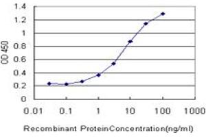 Detection limit for recombinant GST tagged GRK1 is approximately 0. (GRK1 antibody  (AA 51-150))