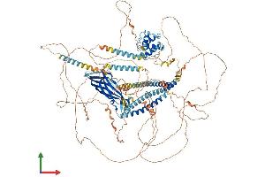 AlphaFold protein structure predicition of Mouse Recombinant Ehbp1 Protein, UniprotID Q69ZW3