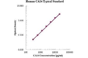 ELISA image for Carbonic Anhydrase XIV (CA14) ELISA Kit (ABIN3199202) (CA14 ELISA Kit)