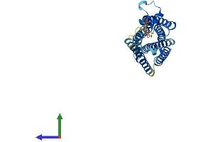 Protein Structure (PS) image for MAS1 Oncogene (MAS1) (AA 1-324) protein (His tag) (ABIN7563091)