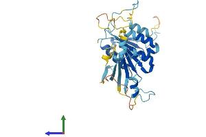 AlphaFold protein structure predicition of Mouse Recombinant Elp5 Protein, UniprotID Q99L85 (Retinoic Acid Induced 12 (RAI12) (AA 1-300) protein (His tag))