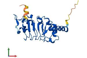AlphaFold protein structure predicition of Human Recombinant LRRC51 Protein, UniprotID Q96E66 (Leucine Rich Transmembrane and 0-Methyltransferase Domain Containing (LRTOMT) (AA 1-192) protein (His tag))