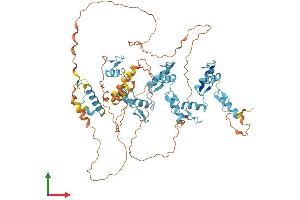 AlphaFold protein structure predicition of Human Recombinant ZNF333 Protein, UniprotID Q96JL9