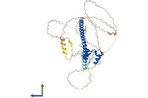 AlphaFold protein structure predicition of Human Recombinant THAP5 Protein, UniprotID Q7Z6K1 (THAP5 Protein (AA 1-395) (His tag))