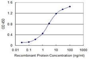 Detection limit for recombinant GST tagged CHURC1 is 0. (CHURC1 antibody  (AA 1-112))