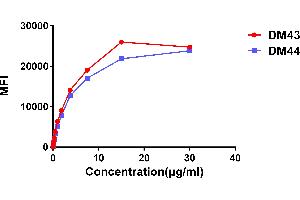 Affinity ranking of different Rabbit anti-CD48 mAb clones by titration of different concentration onto H929 cells. (Recombinant CD48 antibody  (AA 27-220))