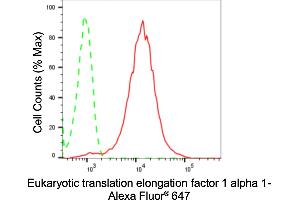 Flow cytometric analysis of Eukaryotic translation elongation factor 1 alpha 1 expression in HepG2 cells using Eukaryotic translation elongation factor 1 alpha 1 antibody (ABIN7798498), 1:2,000). (Recombinant eEF1A1 antibody)