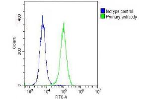 Overlay histogram showing Hela cells stained with (ABIN6242746 and ABIN6578636) (green line). (RPS7 antibody  (AA 158-191))