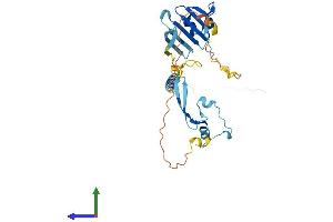 AlphaFold protein structure predicition of Mouse Recombinant Tnmd Protein, UniprotID Q9EP64 (TNMD Protein (AA 1-317) (His tag))