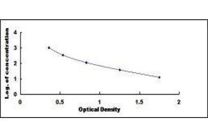 Typical standard curve (Complement Factor H ELISA Kit)