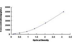 Typical standard curve (OLR1 ELISA Kit)